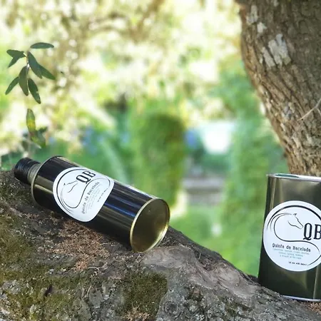 Casa Do Redondo 3* Rabaçal