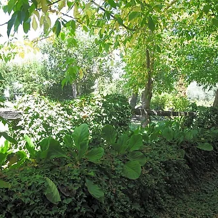 Casa Do Redondo Bed & Breakfast