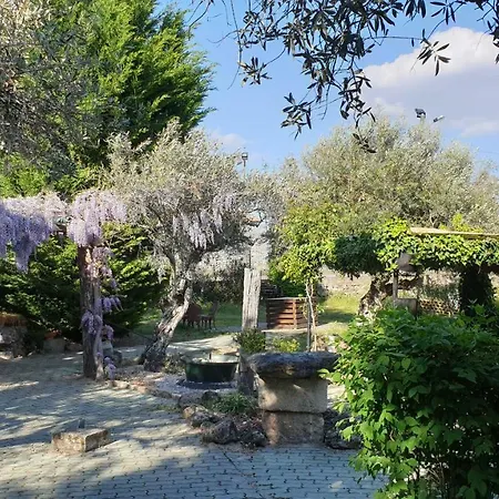 Casa Do Redondo Bed & Breakfast