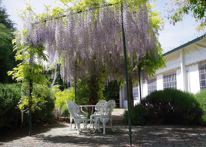 Alojamento de Acomodação e Pequeno-almoço Casa Do Redondo 3*